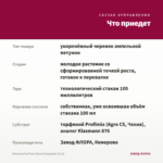 Петуния Surfinia Classic Burgundy (0,1л) — что приедет