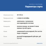 Петуния Surfinia Lagoon Blue Star (0,1л) — параметры сорта