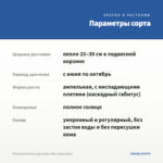Петуния Surfinia Lagoon Blue Star (срезы/5шт) — параметры сорта