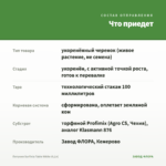 Петуния Surfinia Table White (0,1л) — что приедет