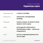 Петуния Surfinia Trailing Violet (0,1л) — параметры сорта