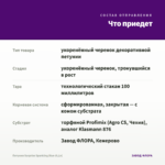Петуния Surprise Sparkling Blue (0,1л) — что приедет