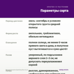Петуния Surprise Sparkling Blue (0,1л) — параметры сорта