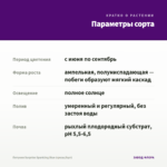 Петуния Surprise Sparkling Blue (срезы/5шт) — параметры сорта