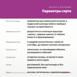 Петуния Sweetunia Baby Pink (0,1л) — параметры сорта