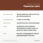 Петуния Sweetunia Hot Pink Touch (0,1л) — параметры сорта