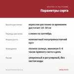 Петуния Sweetunia Red (0,1л) — параметры сорта