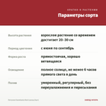 Петуния Sweetunia Red (срезы/5шт) — параметры сорта