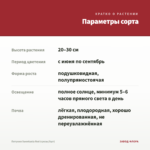 Петуния Sweetunia Red (срезы/5шт) — параметры сорта