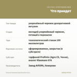 Петуния Sweetunia Sparkling Bee (0,1л) — что приедет