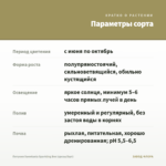 Петуния Sweetunia Sparkling Bee (срезы/5шт) — параметры сорта