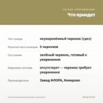 Петуния Sweetunia Sparkling Bee (срезы/5шт) — что приедет