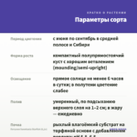 Петуния Sweetunia Starfish (0,1л) — параметры сорта