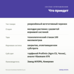 Петуния Sweetunia Starfish (0,1л) — что приедет