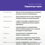 Петуния Sweetunia Surprise Blue Sky (0,1л) — параметры сорта