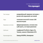 Петуния Sweetunia Surprise Blue Sky (0,1л) — что приедет