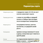Петуния Sweetunia Surprise Canary Yellow (0,1л) — параметры сорта
