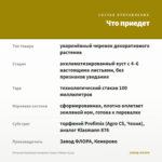 Петуния Sweetunia Surprise Canary Yellow (0,1л) — что приедет
