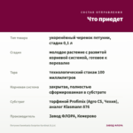 Петуния Sweetunia Surprise Kardinal (0,1л) — что приедет