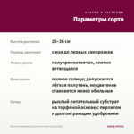 Петуния Sweetunia Surprise Kardinal (срезы/5шт) — параметры сорта