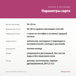 Петуния Tumbelina Belinda (0,1л) — параметры сорта