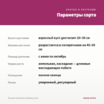 Петуния Tumbelina Candyfloss (0,1л) — параметры сорта