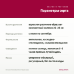 Петуния Tumbelina Cherry Ripple (0,1л) — параметры сорта