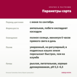 Петуния Tumbelina Cherry Ripple (срезы/5шт) — параметры сорта