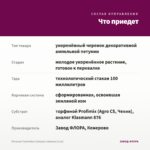 Петуния Tumbelina Compact Julianna (0,1л) — что приедет