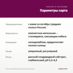 Петуния Tumbelina Compact Julianna (срезы/5шт) — параметры сорта
