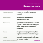 Петуния Tumbelina Compact Nicola (0,1л) — параметры сорта