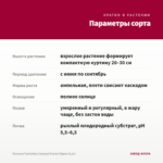 Петуния Tumbelina Compact Scarlet Ripple (0,1л) — параметры сорта