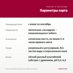 Петуния Tumbelina Compact Scarlet Ripple (срезы/5шт) — параметры сорта