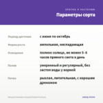 Петуния Tumbelina Compact Victoria Pro (0,1л) — параметры сорта