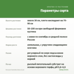 Петуния Tumbelina Diana (0,1л) — параметры сорта