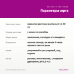Петуния Tumbelina Helena (0,1л.) — параметры сорта