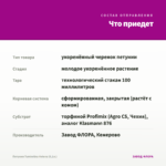 Петуния Tumbelina Helena (0,1л.) — что приедет