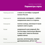 Петуния Tumbelina Helena (срез/5шт) — параметры сорта