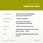Петуния Tumbelina Matilda (0,1л) — параметры сорта