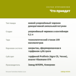 Петуния Tumbelina Matilda (0,1л) — что приедет