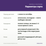Петуния Tumbelina Priscilla Pro (0,1л) — параметры сорта