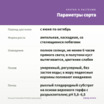 Петуния Tumbelina Priscilla (срезы/5шт) — параметры сорта
