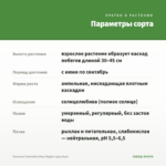 Петуния Tumbelina Rosy Ripple (срез/5шт) — параметры сорта