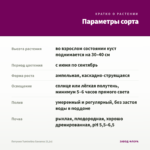 Петуния Tumbelina Savanna (0,1л) — параметры сорта