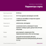 Петуния Tumbelina Savanna (0,1л) — параметры сорта