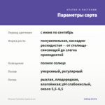 Петуния Tumbelina Sophia (0,1л) — параметры сорта