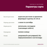 Петуния Tumbelina Superstar (срезы/5шт) — параметры сорта