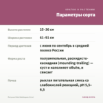 Петуния Vista Bubblegum (0,1л) — параметры сорта