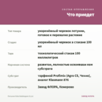 Петуния Vista Bubblegum (0,1л) — что приедет