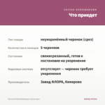 Петуния Vista Bubblegum (срезы/5шт) — что приедет